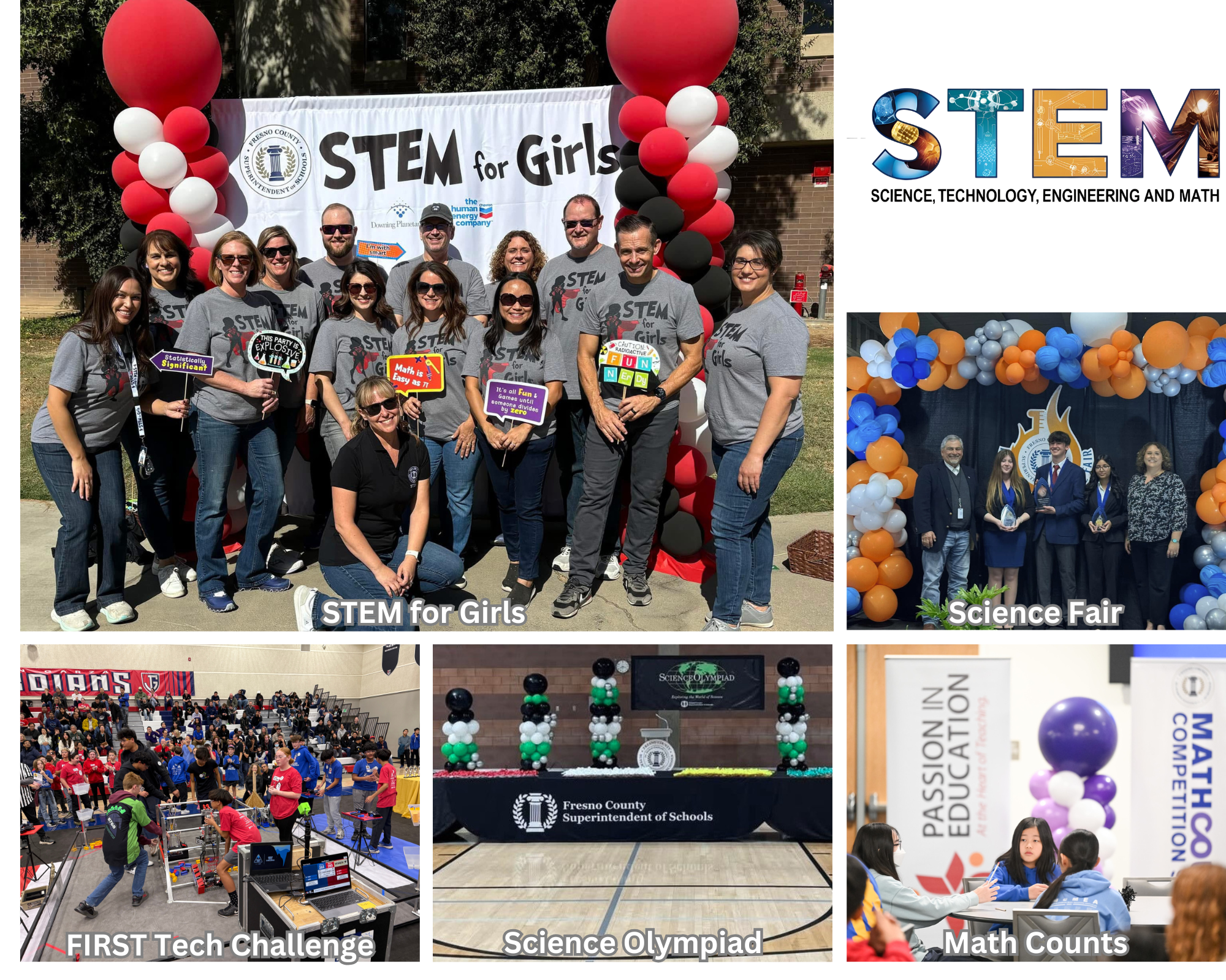 Stem Team